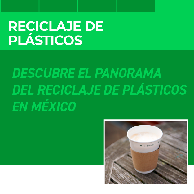 Reciclaje de Plásticos 
